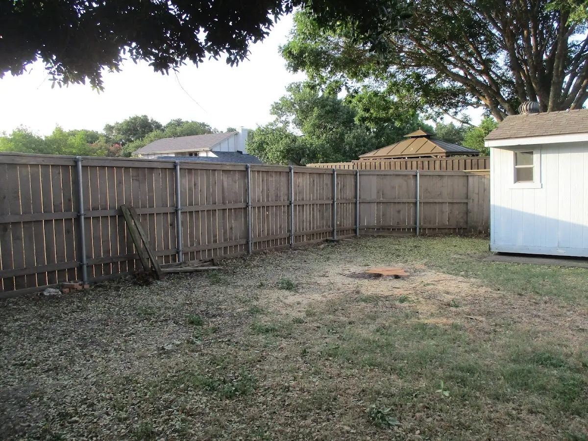 Cleared yard after professional tree removal in Bradley